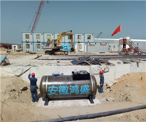 港珠澳大橋(東西人造...